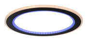 Plafoniera LED dimmerabile Golwen RGB CCT 45cm nera Rabalux