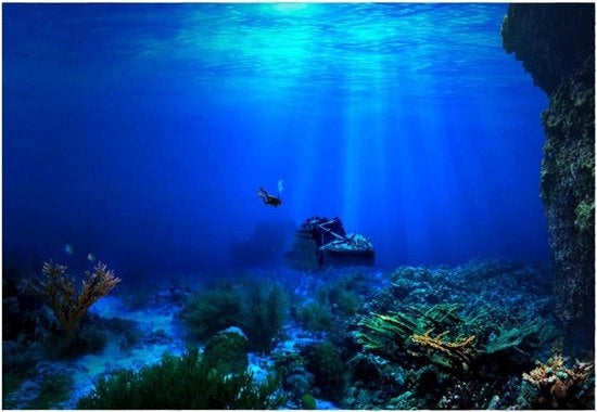 Decorazione per parete acquatica XXL - Immagine di fondale di barriera corallina per acquario (122 x 50 cm)
