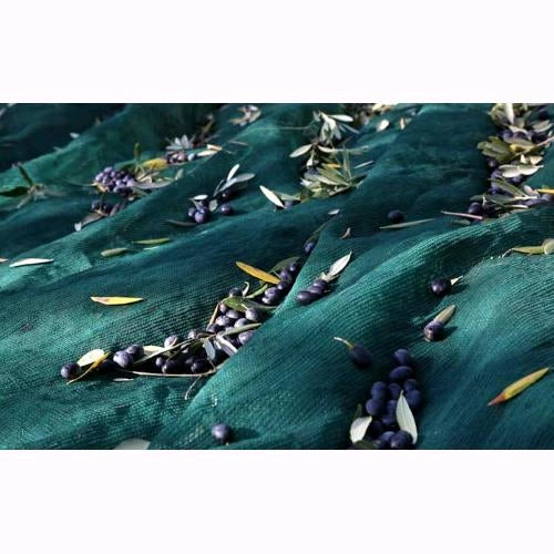 Telo Antispina Rete per raccolta Olive PESANTE in ROTOLO h: 10x100 MT - 90 gr/mq colore Verde