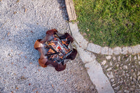 Braciere a Legna Struttura a Petali Sovrapposti Ninfea in Acciaio Corten Effetto Ruggine