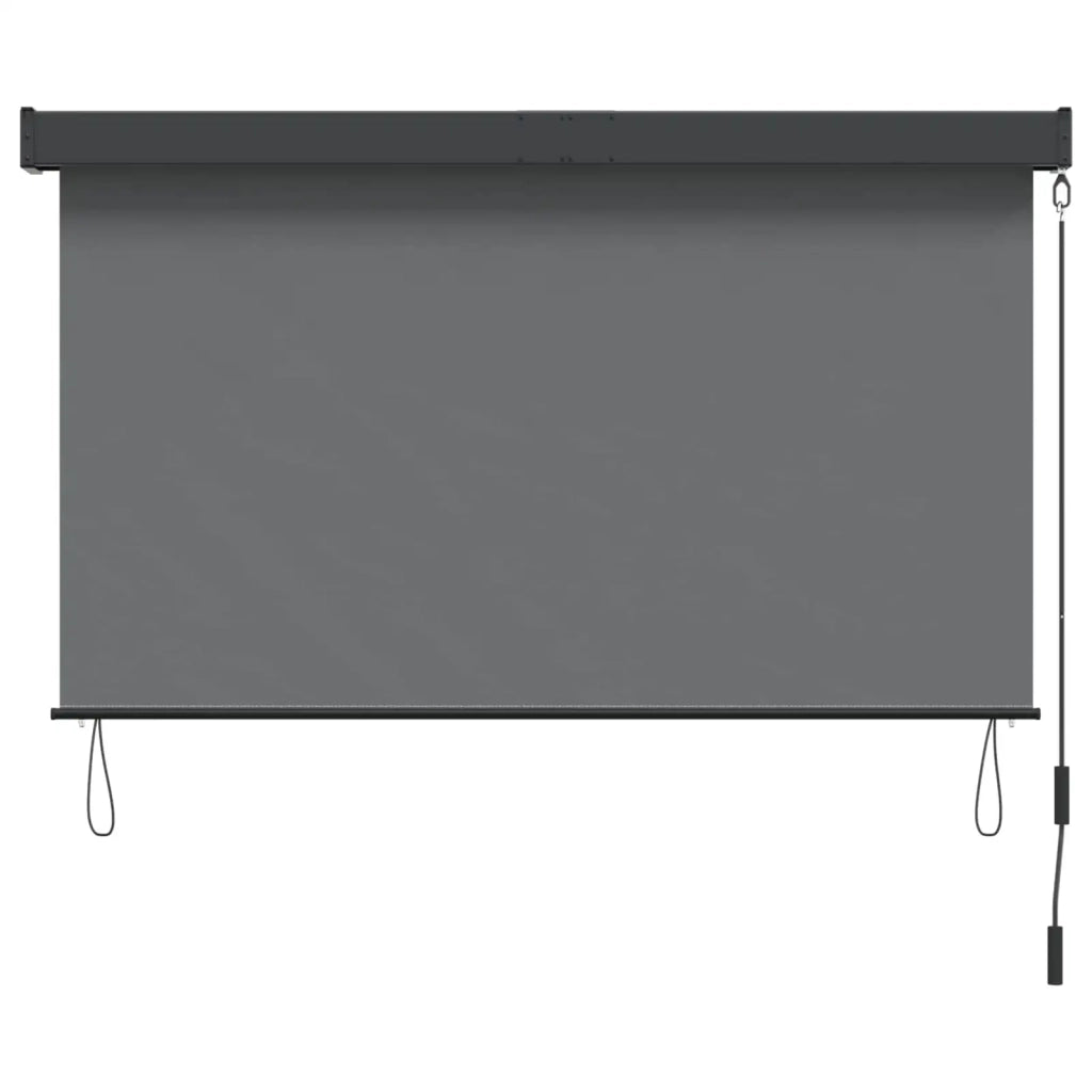 Tenda a rullo Grigio Chiaro 80 x 250 cm Tessuto e Alluminio 42037174