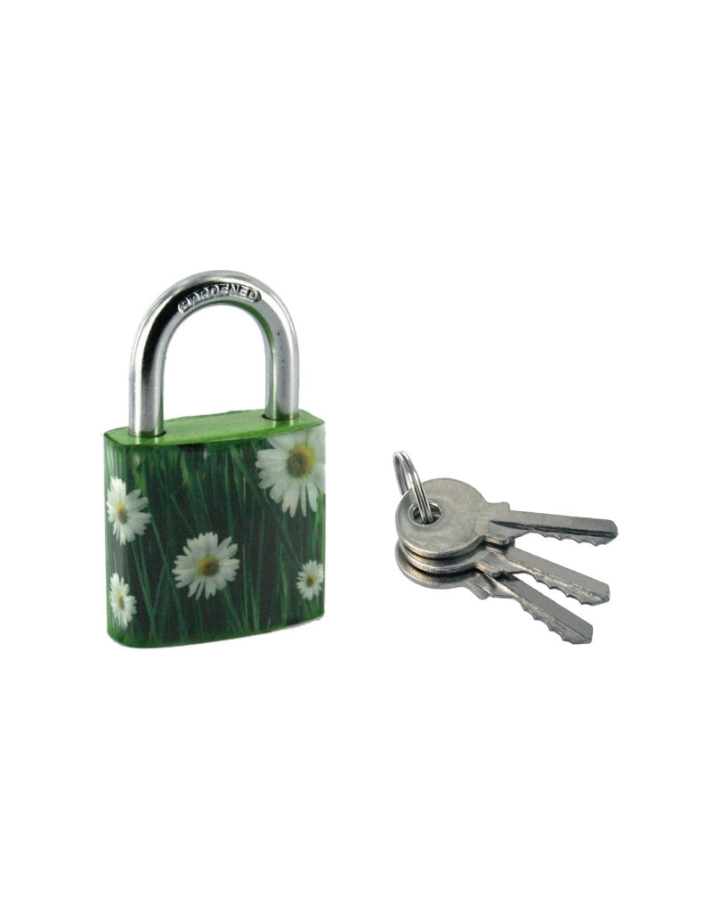 Lucchetto Green Idea Margherite, acciaio, interno, arco in acciaio, 30mm, 2 chiavi - THIRARD