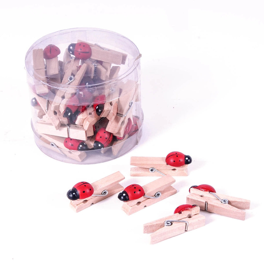 Set 216 Coccinelle con Clip H 55 cm