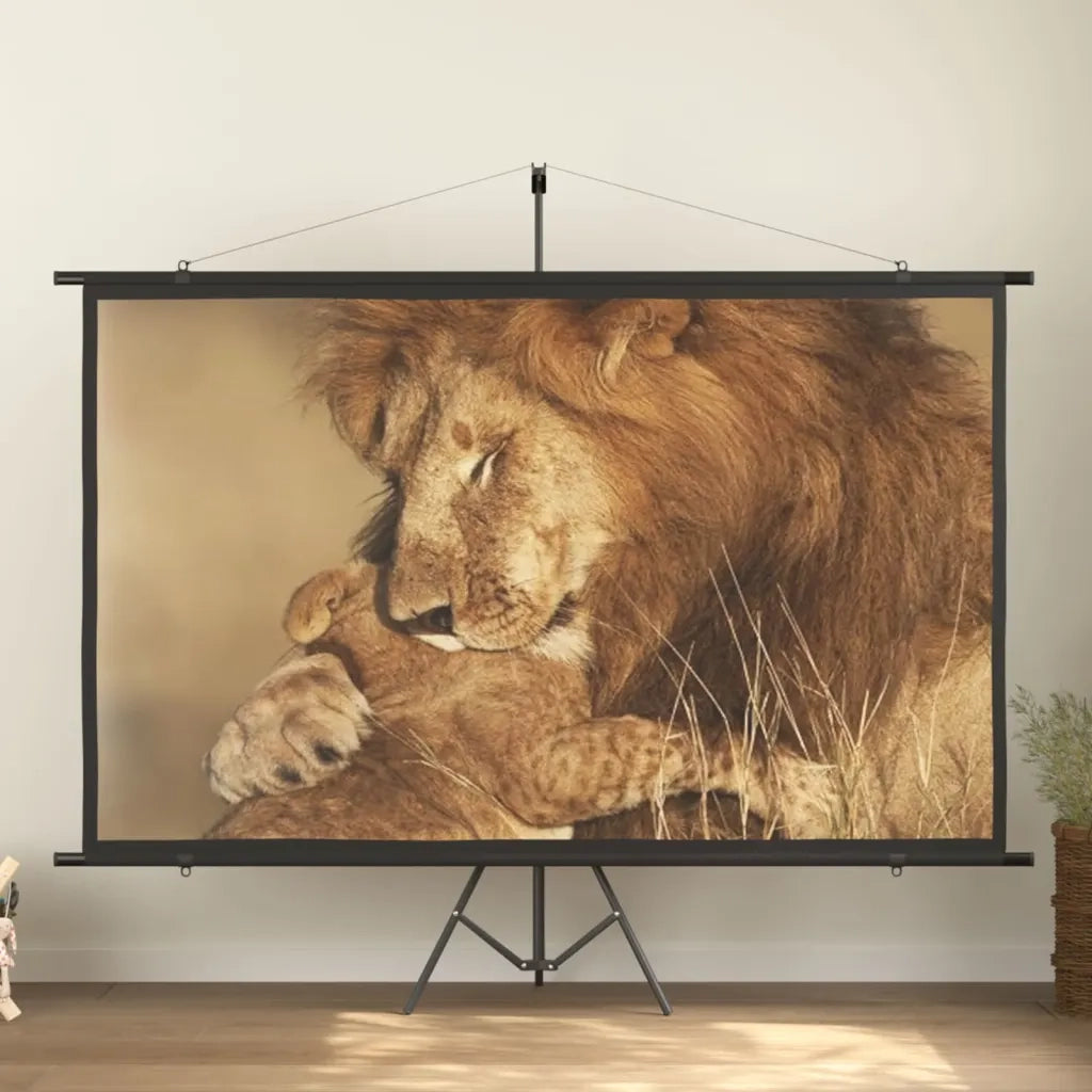 Schermo di Proiezione 108" 16:9