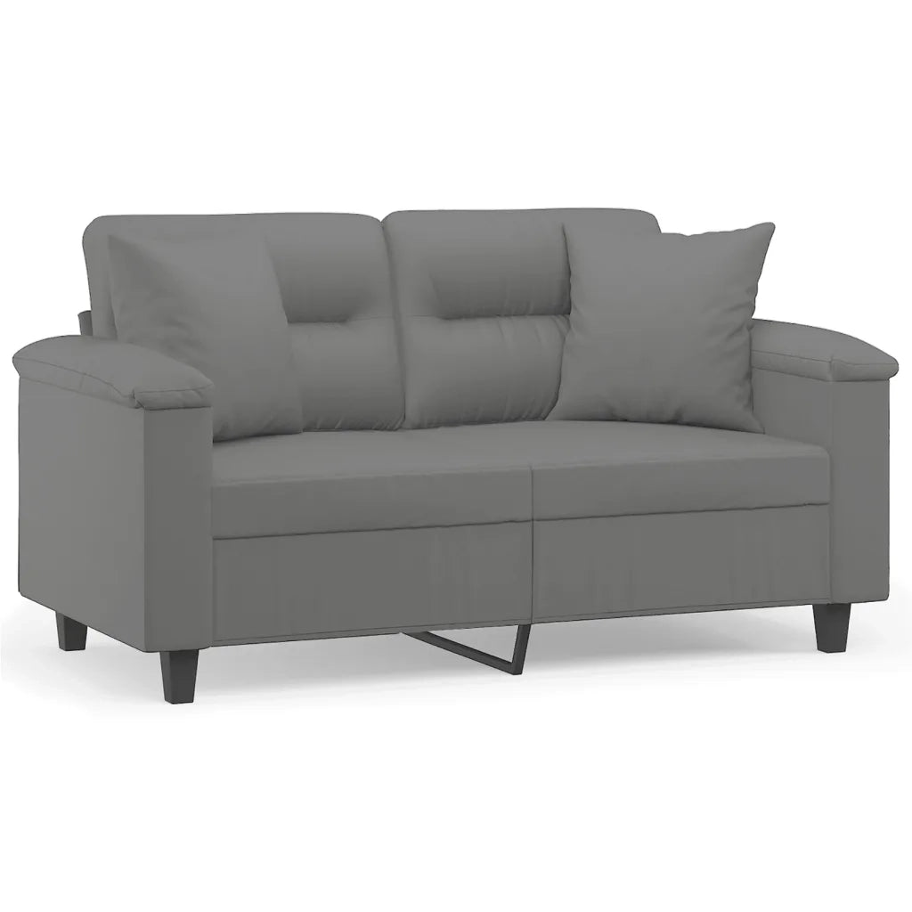 Divano | Divano da soggiorno | Sofa 2 Posti Cuscini Grigio Scuro 120 cm Tessuto Microfibra