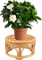 Supporto per Piante in Rotan Indoor Fatto a Mano Forma Circolare Vaso per Piante per Giardino e Sala da Pranzo - Supporto per Piante in Rotan, Arredamento Esterno - S 80x110mm