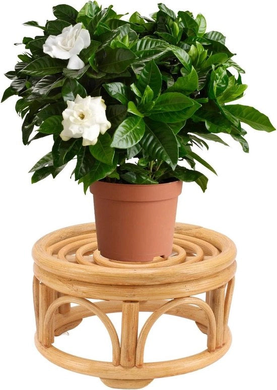 Supporto per Piante in Rotan Indoor Fatto a Mano Forma Circolare Vaso per Piante per Giardino e Sala da Pranzo - Supporto per Piante in Rotan, Arredamento Esterno - S 80x110mm