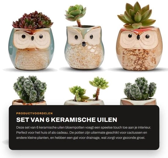 Vaso per piante in ceramica - 6 pezzi - vaso per cactus con foro - vaso per bonsai con foro - idea regalo perfetta