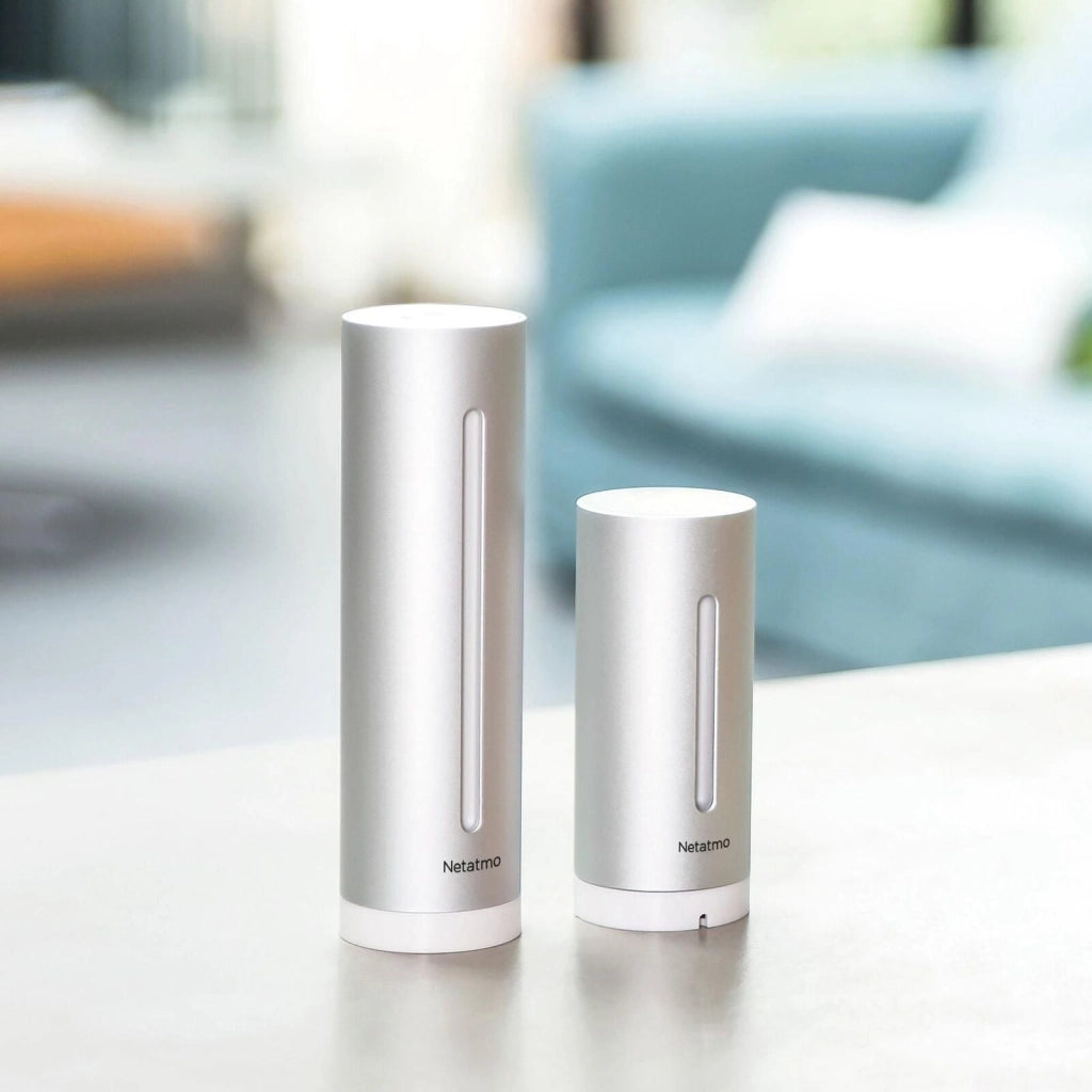 Netatmo NBU-NWS-NIM-EU Stazione Meteo Intelligente Modulo Interno Aggiuntivo Wi-Fi HomeKit Alexa colore Argento