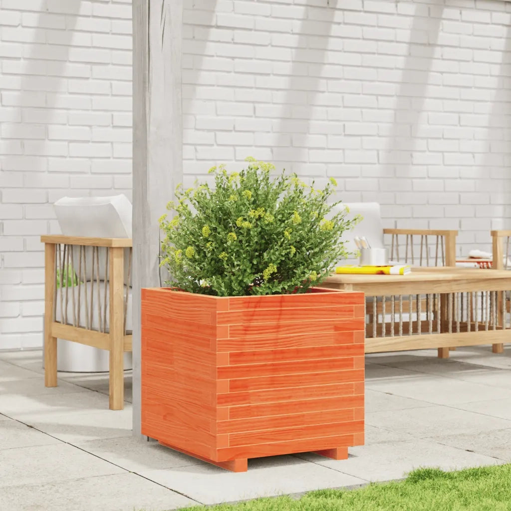 Fioriera | Cassetta per fiori | Vaso Giardino Marrone Cera 50x50x49,5cm Legno Massello Pino