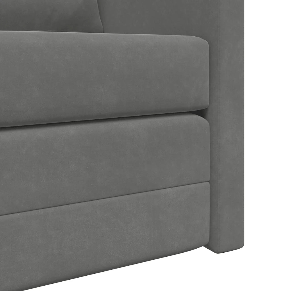 Divano letto | Sof¨¤ letto | Letto singolo da Terra 2 in 1 Grigio Scuro 122x204x55 cm Velluto