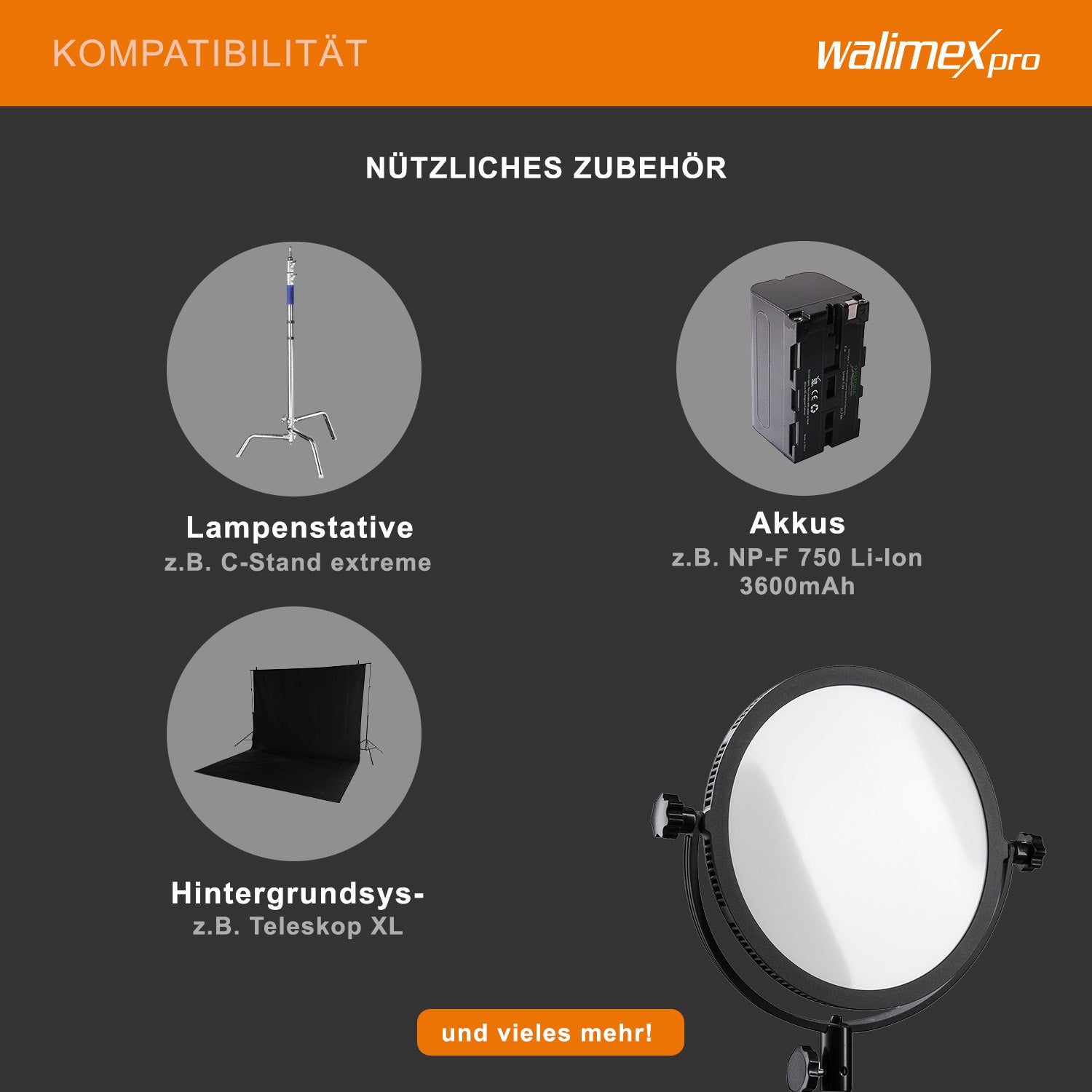 Soft LED 300 Lampada rotonda fotografica, Pannello LED piatto per fotografia 30 W, Luce per video e foto con staffa a U, temperatura colore 5600 K