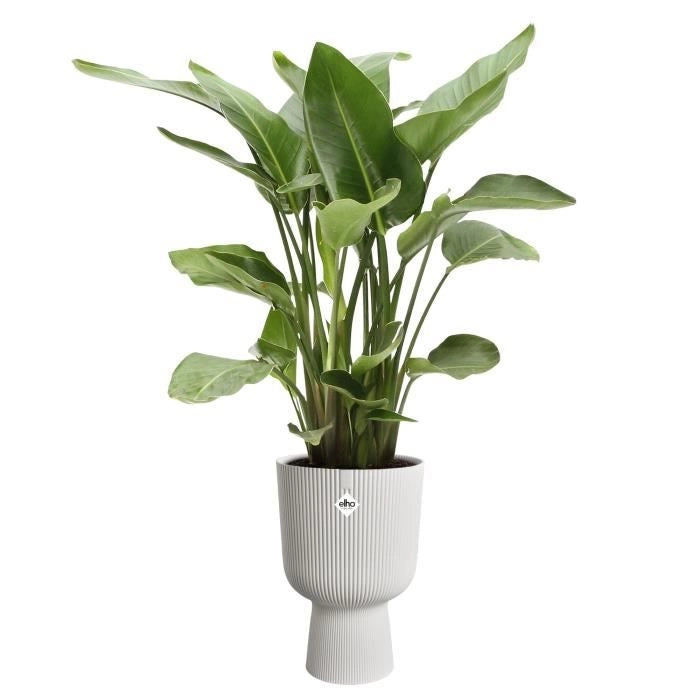 Vaso per fiori - Elho - Vibes Fold Coupe - Bianco - L 30 x P 29,5 x H 45 cm - Interno - 100% riciclato