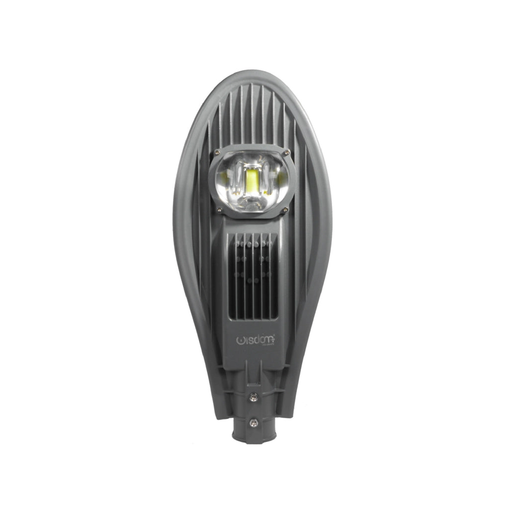 Lampione con armatura stradale a led cob da 50w a luce fredda 6500K