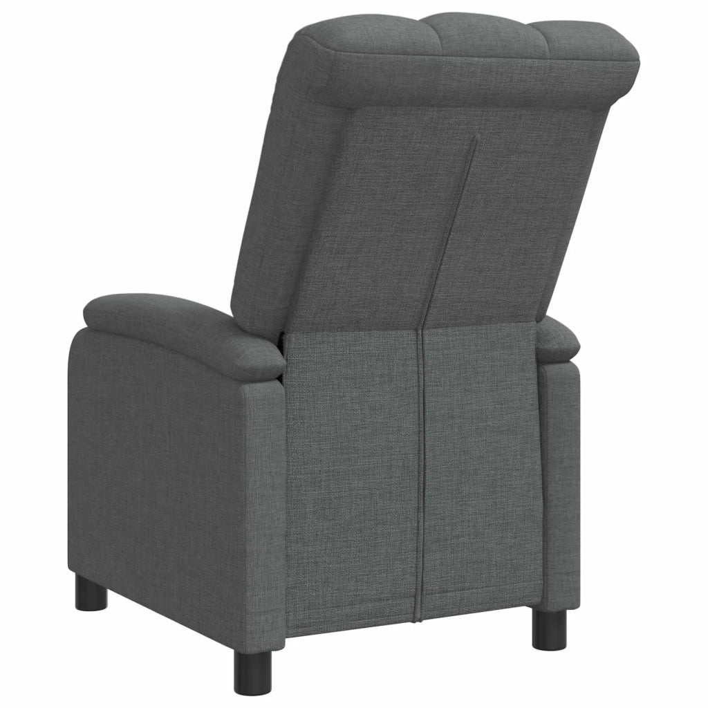 Divano Sedia-Poltrona reclinabile Grigio Scuro Tessuto 942933
