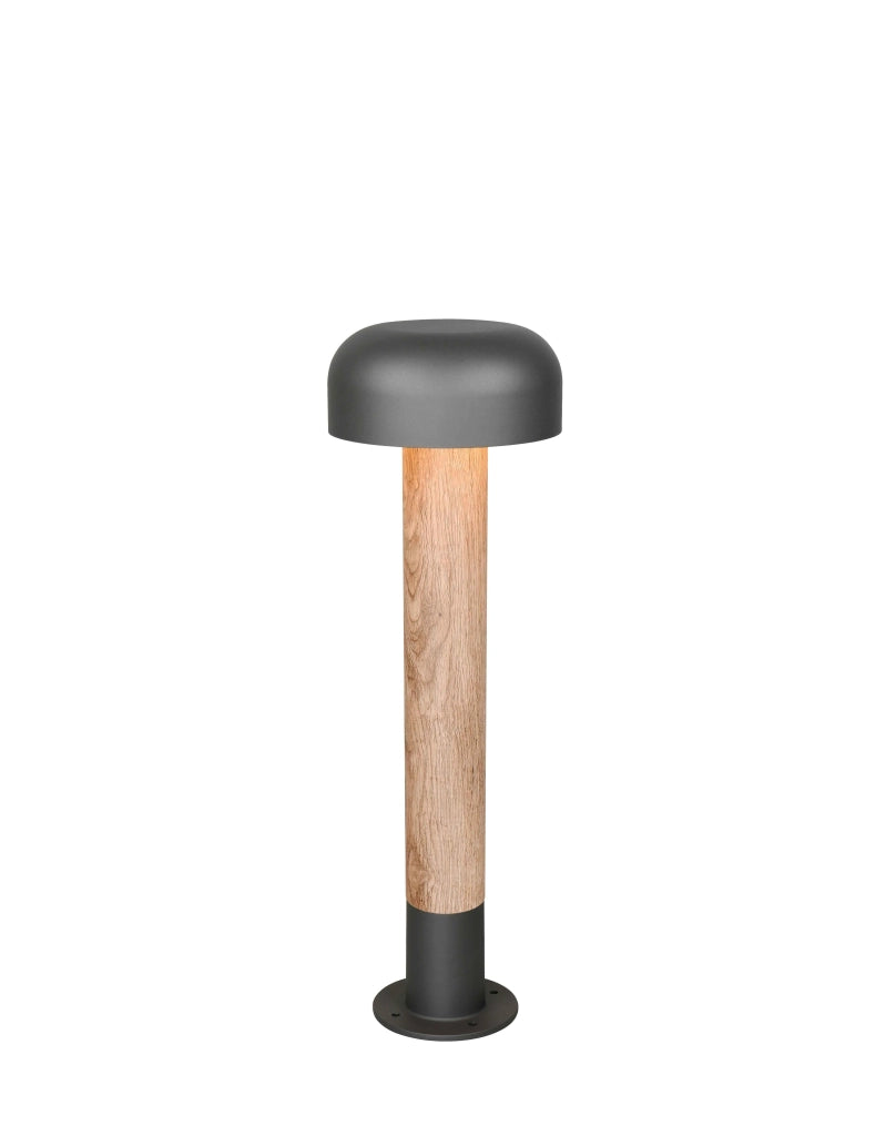 Palo da esterno, alluminio, antracite e legno, H 54 cm, Fraser