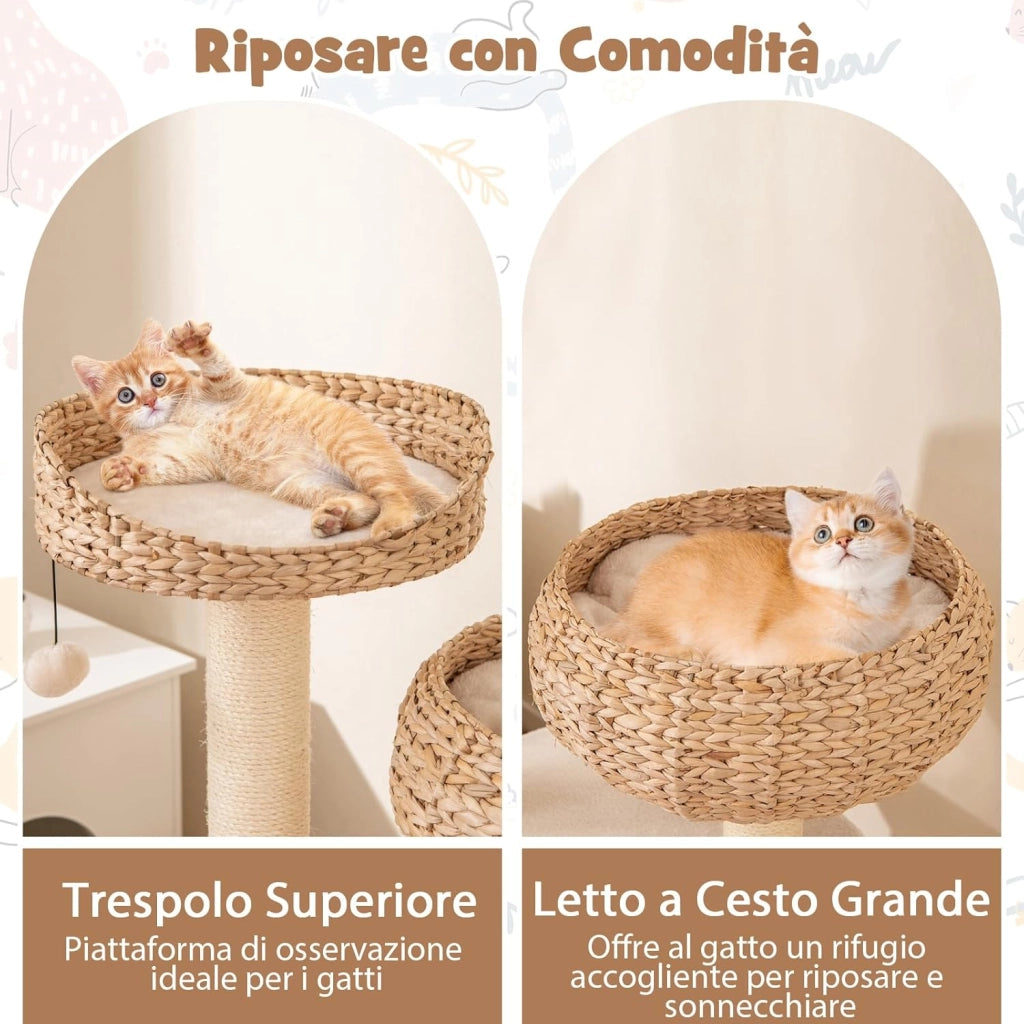 Tiragraffi per Gatti Piccoli, Tiragraffi con Cuccia, Piattaforma, Pallina e Palo in Sisal Naturale, Albero per Gatti da Divano, Salotto e Camera da Letto