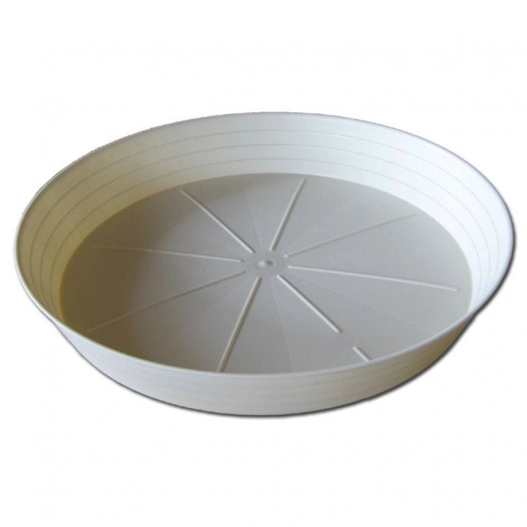 Sottovaso Primavera Ø 20 Cm