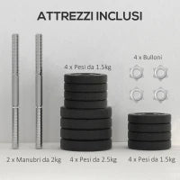 Set Manubri Palestra da 25 kg Totali con 12 Dischi Pesi e 2 Barre da 2 kg, Nero