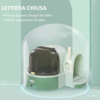 Lettiera per Gatti Chiusa con Coperchio Apribile e Vassoio Estraibile, 52x60x42 cm, Verde