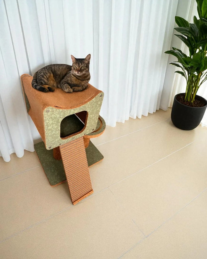 Struttura di arrampicata in sughero Faro