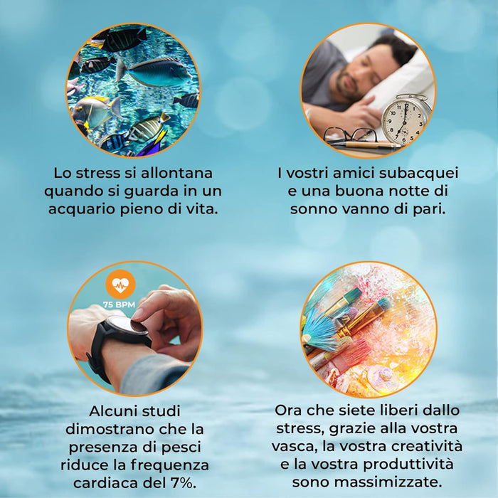 Acquario Grande per Ufficio, Casa e Reception 300 Litri Armadietto Nero