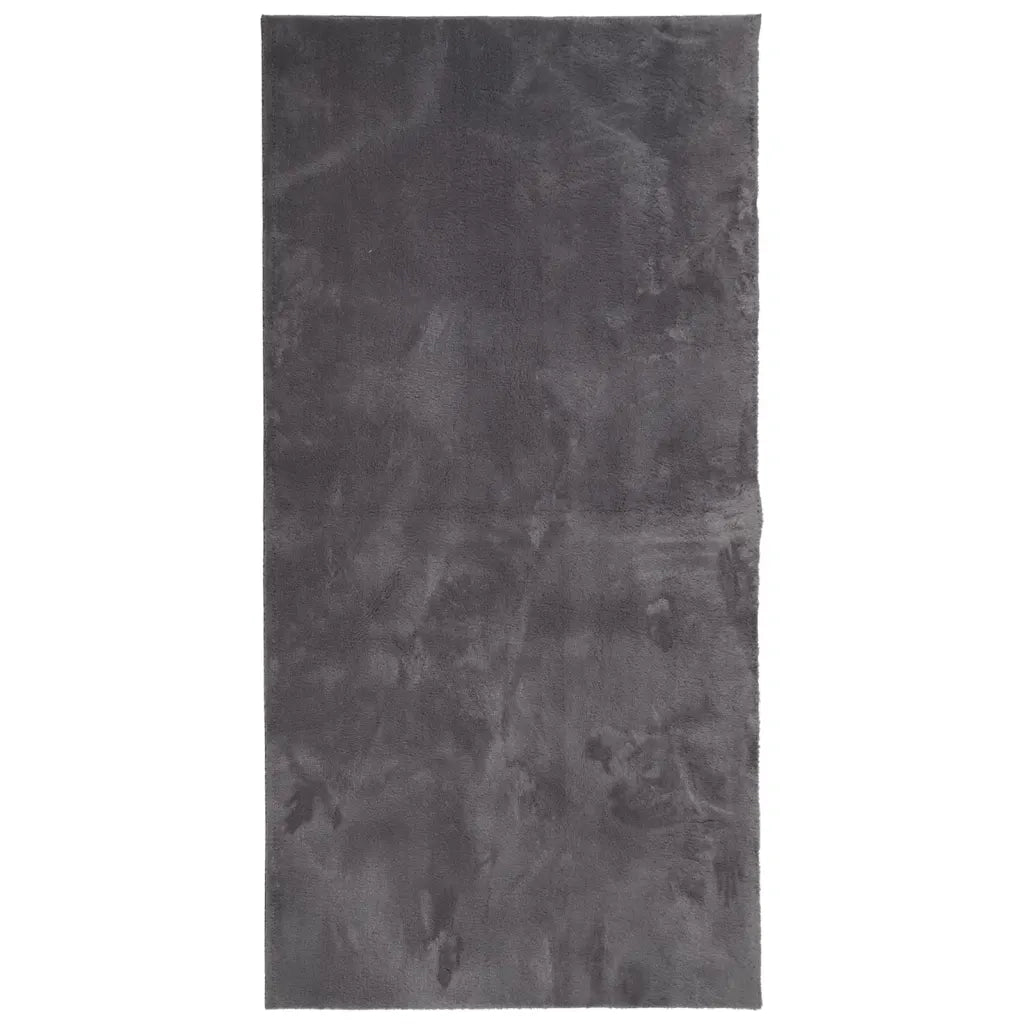 Tappeto del soggiorno | Tappeto Pelo Corto HUARTE Morbido Lavabile Antracite 100x200 cm