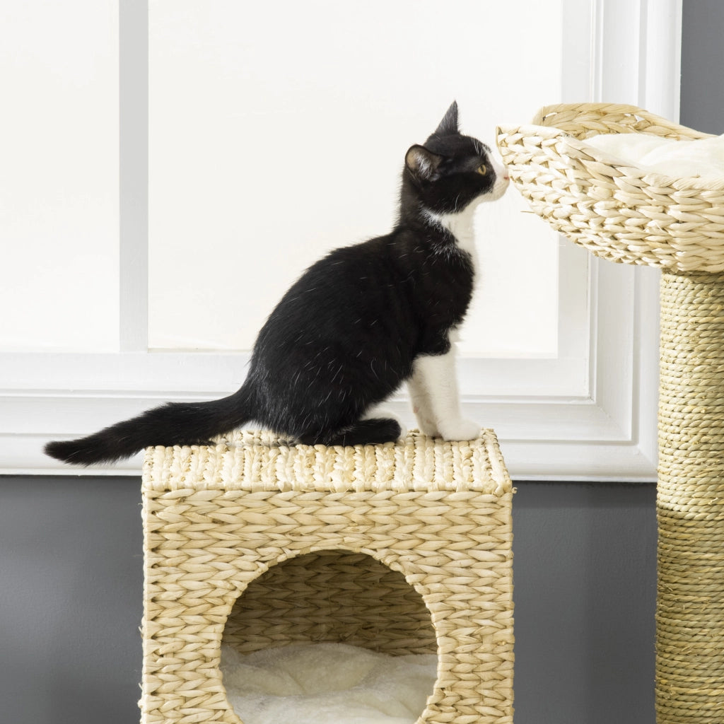 Tiragraffi con Cuccia per Gatti ¨C Xylo ¨C Sisal, Cuscini Lavabili, 100,5x57x37 cm, Bianco/Naturale