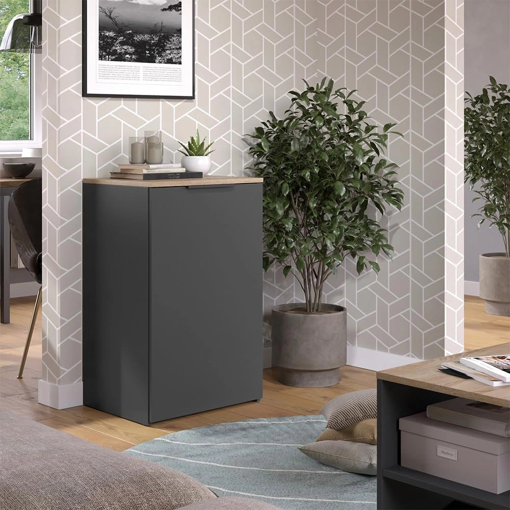 Credenza Wido, Antracite, 50 x 80 cm con ripiano, per la conservazione e l'organizzazione salvaspazio