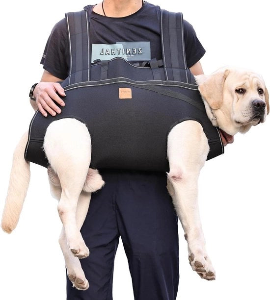 Porta cani per grandi cani, zaino per cani con zampe, sollevatore di carico per cani, portacani per cani anziani con lesioni articolari, artrite, problemi alle ginocchia, paralisi - XXL