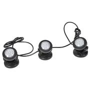 Faretti da Esterno a Led Multicolore 12V con Crepuscolare Rama Led 3000