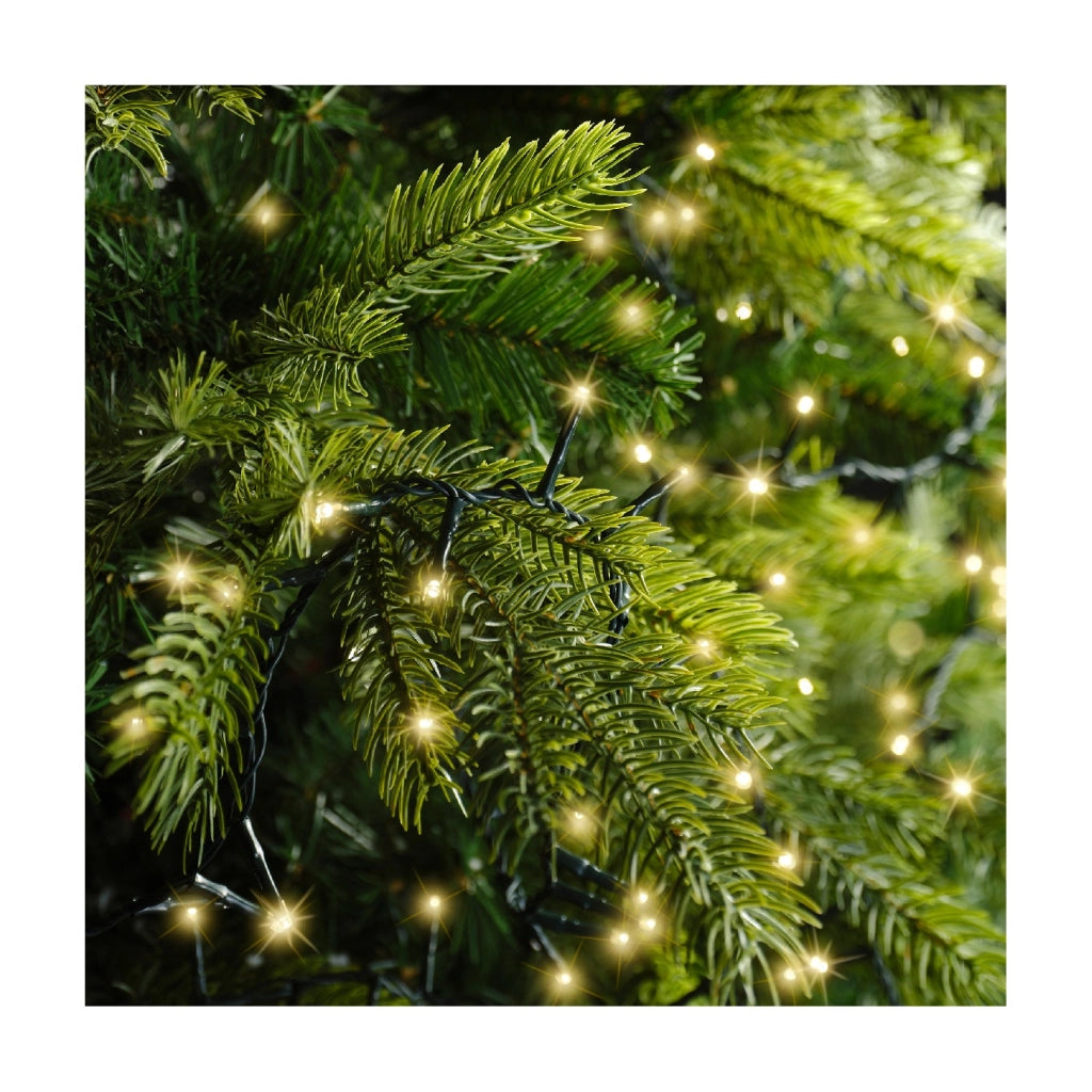 Luci LED Compact Light verde/oro ch. 6000cm 8Funz OUT