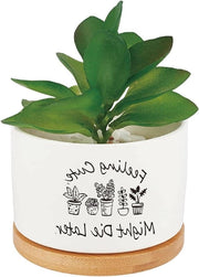 Ceramiche vasi per piante bianche per interni ed esterni, vasi cactus fiori decorativi con sistema di drenaggio, decorazione per ufficio, regalo unico, design carino.
