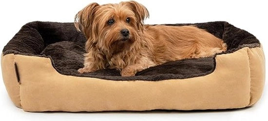 Casa per Cani con Cuscino Girevole e Scivolo Bassa (75x60 cm) - Solido e Antiscivolo