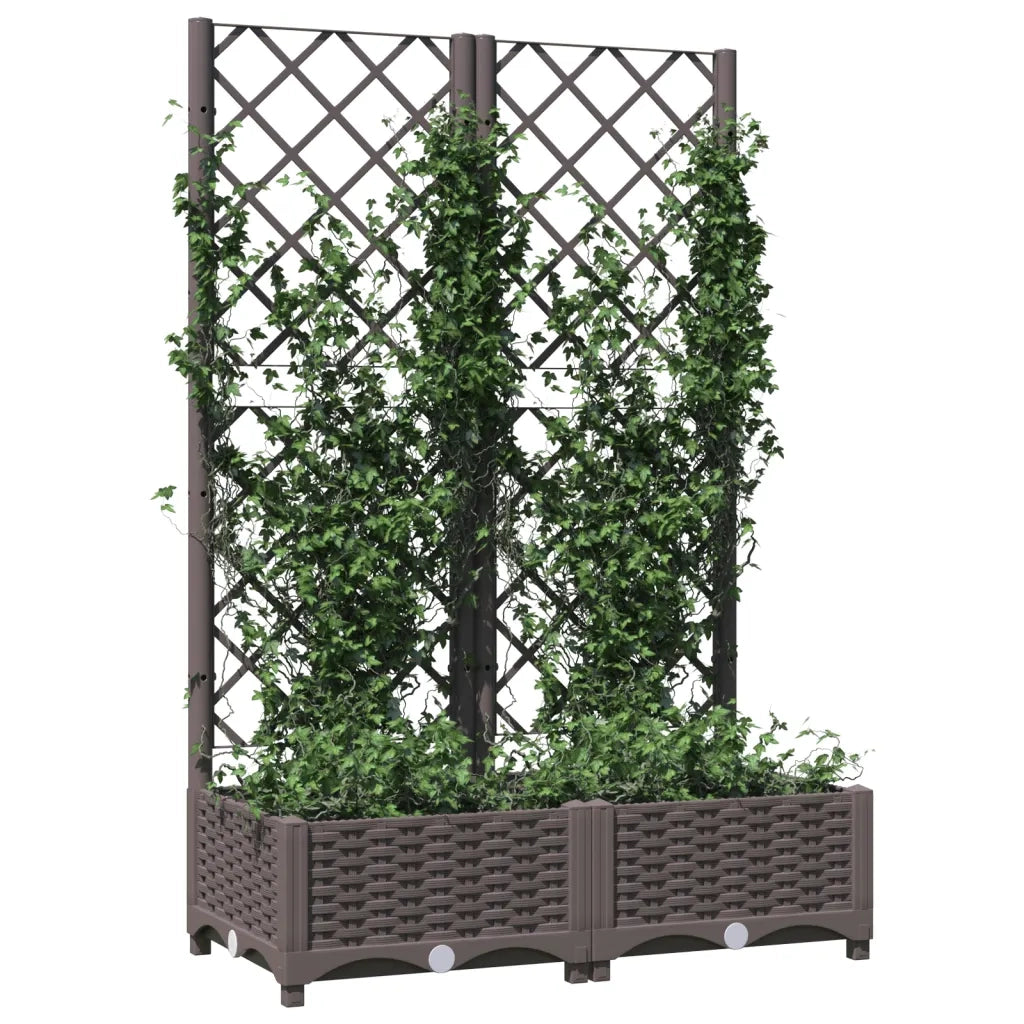 Fioriera da Giardino con Graticcio Marrone 80x40x121,5 cm in PP 318260