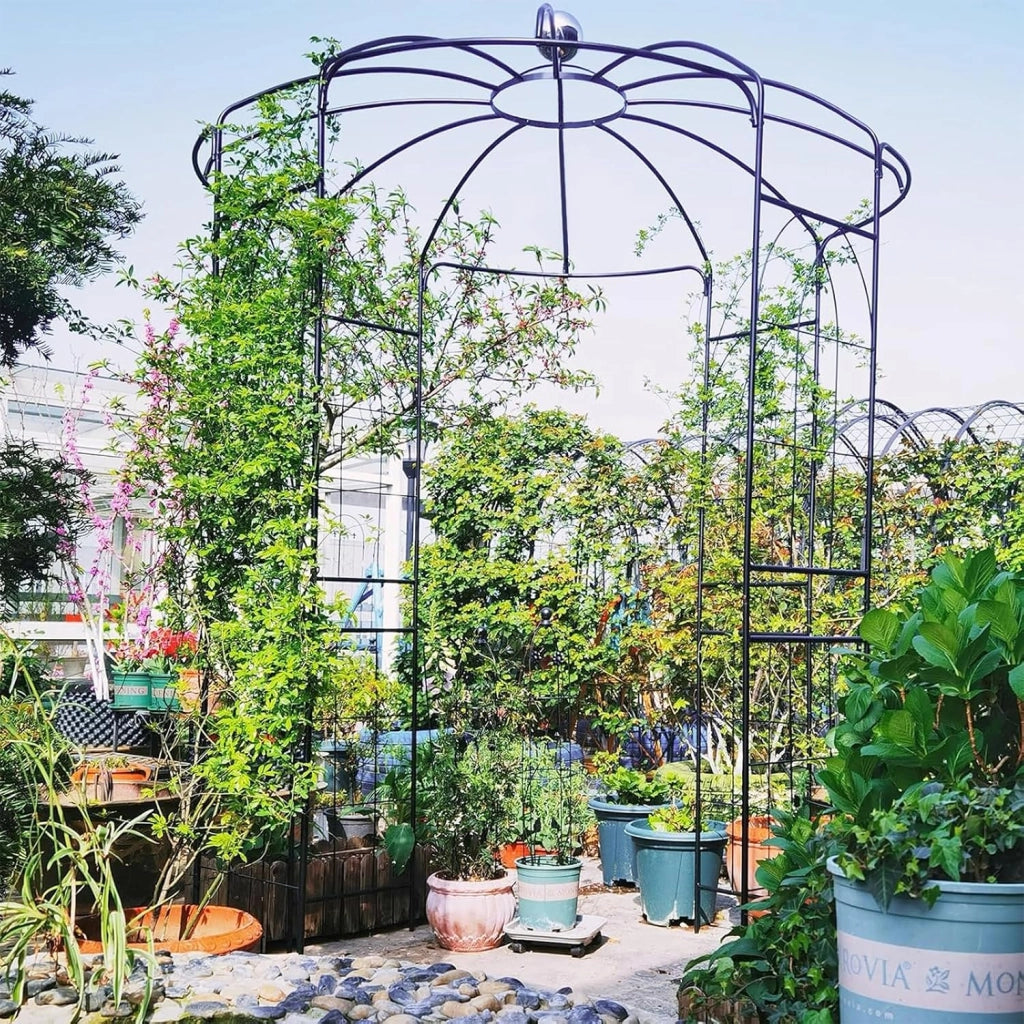 Traliccio ad Arco in Metallo Zincato per Piante Rampicanti, Gazebo a Forma di Gabbia per Uccelli con Gancio e Paletti, Pergola da Giardino per Cerimonie, 198 x 284 cm, Nero