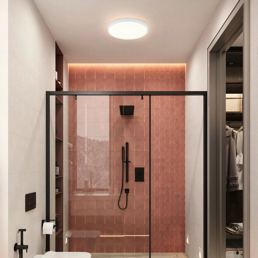 ZMH Lampada da soffitto plafoniera LED rotonda bianca 22cm 15W