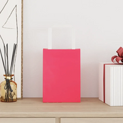 vidaXL Sacchetti di Carta 250 pz con Manici Rosa 15x8x21 cm