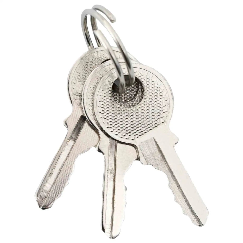 U Lock con Chiavi 12 pz Ottone Ferro CFW1561015