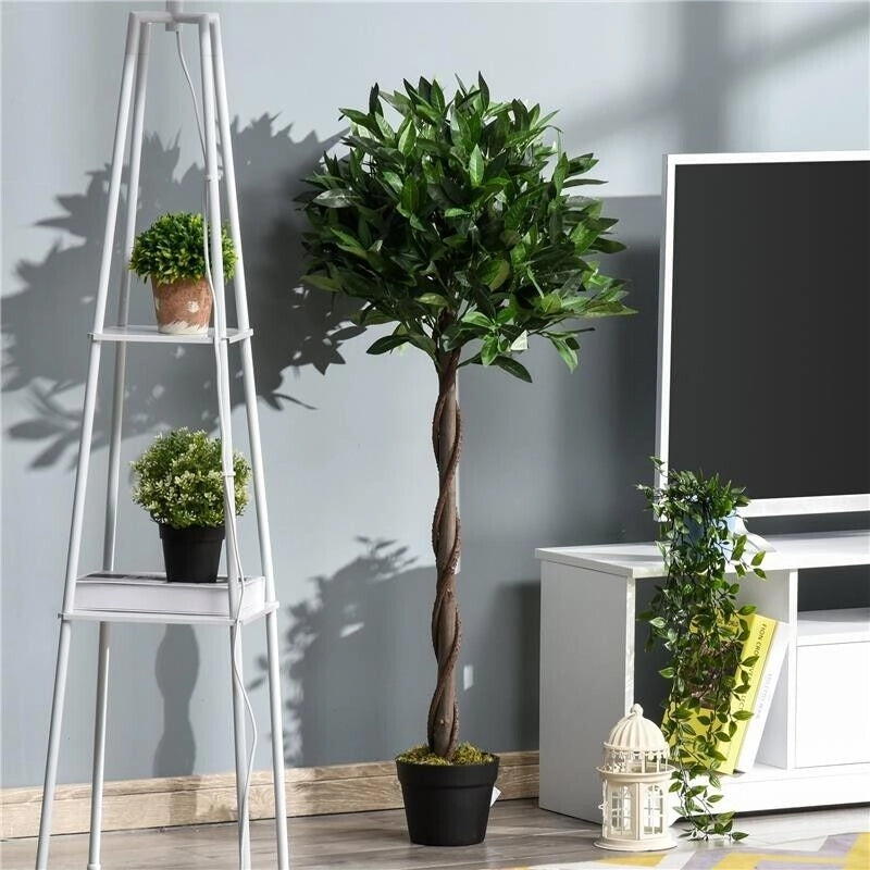 SET 2 PIANTE FINTE DI ALLORO IN VASO ALTE 120CM PER INTERNI ED ESTERNI