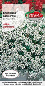 Albicocca di mare - Lobularia maritima bianca 1g