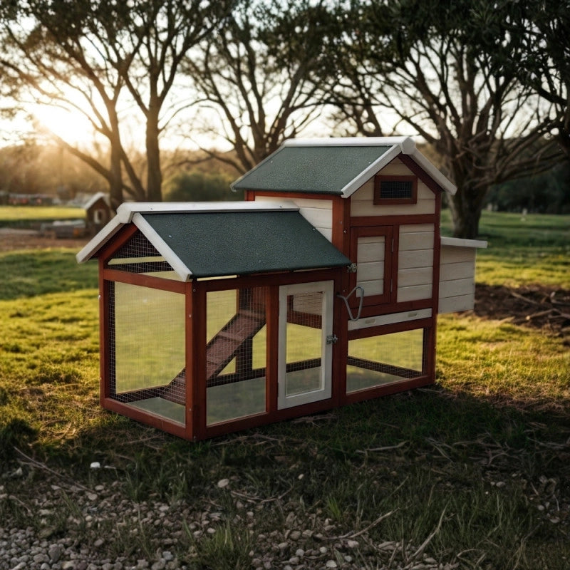 Pollaio in legno da giardino 152x62 cm – spessore pareti 10 mm tetto bitumato – 2 aree interne per 2-3 galline – PO1562 Foresta