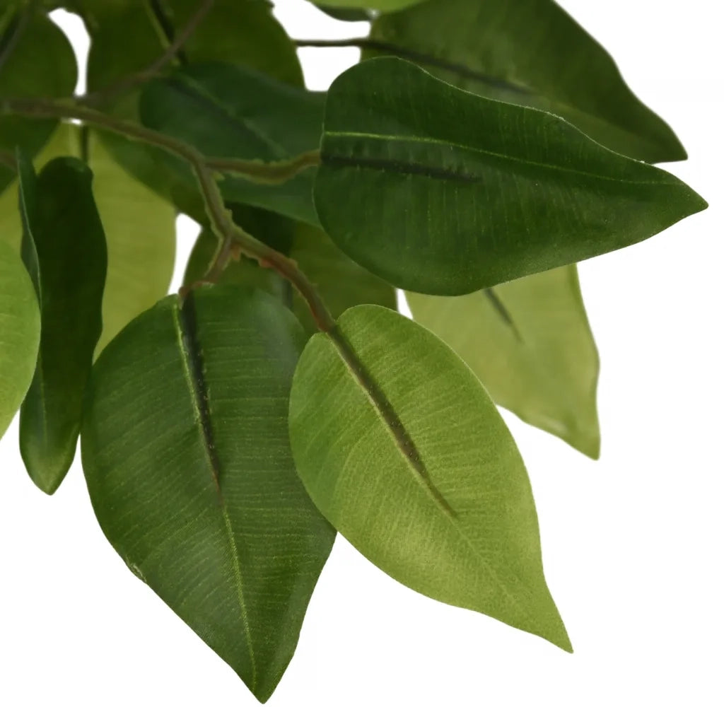 Albero di Ficus Artificiale 1008 Foglie 180 cm Verde 359018