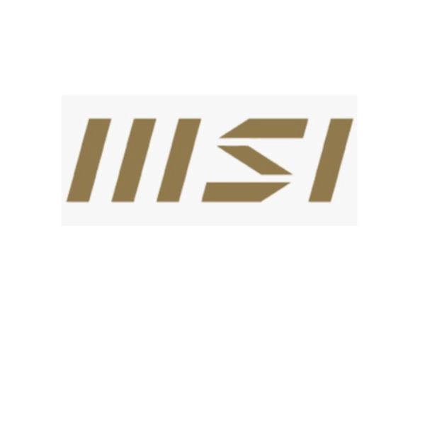 1yr  ext_aio_ b2b - Y06-1171303-MSI