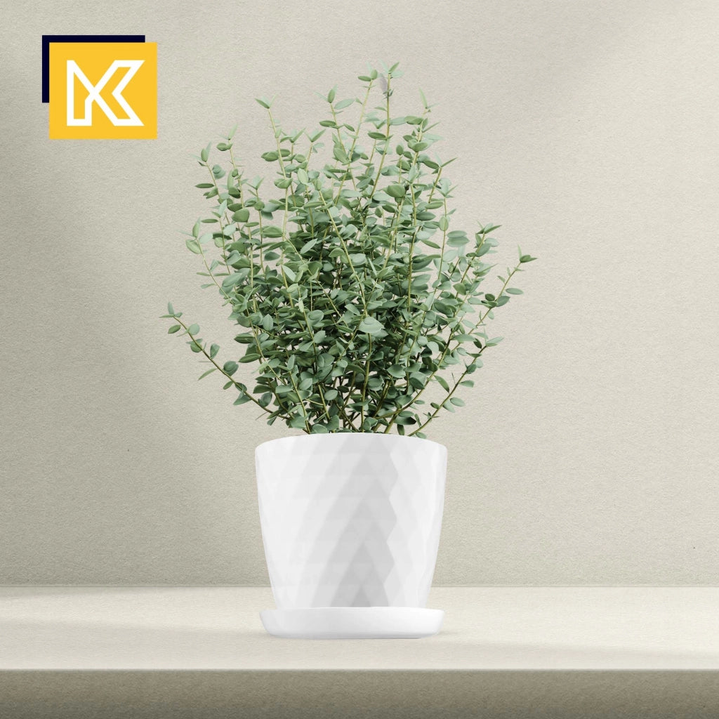 Vaso da fiori KADAX, fioriera, coperchio, 25 cm, supporto per fiori, plastica bianca, 3 pezzi.