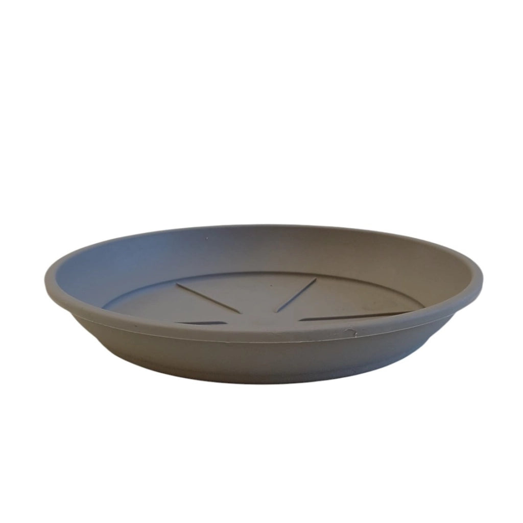 SOTTOVASO COLOR D.16XH2,5CM ASSORTITO
