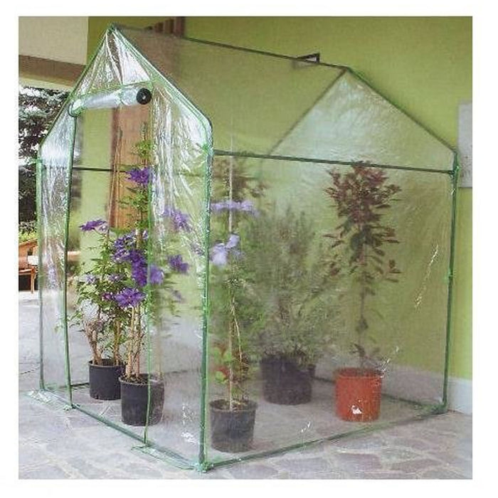 Clematis serra 155 x 155 x h 205 cm