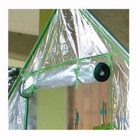 Clematis serra 155 x 155 x h 205 cm