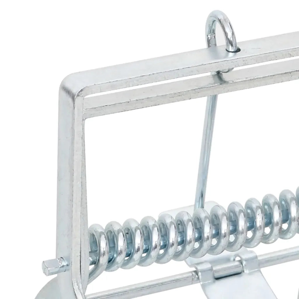 Trappole per Talpe 10 pz Argento Acciaio Zincato CFW1287229