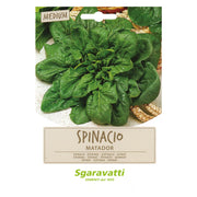 Semi per Ortaggi e Vegetali Spinacio Matador Sgaravatti 10 Pezzi
